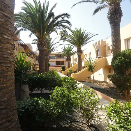 Paradise *