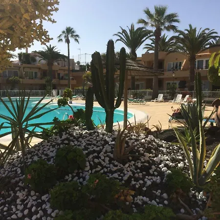 Karibu * 科拉雷侯