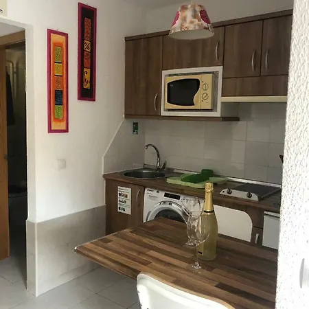 公寓 Lasvistasapartment 科拉雷侯